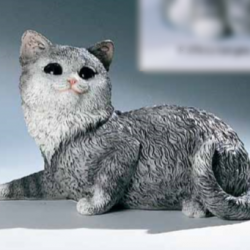 Kattekillling grå