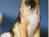 Schæferhund Hvalp – i Kunststof